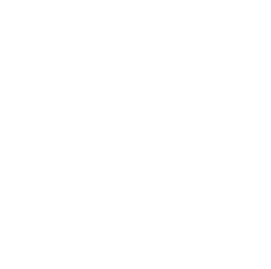 decaro co logo upscaled white